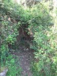 BTT SERRALADA MARINA (18).JPG