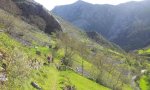 20160430_110650.jpg