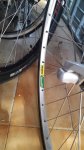 IMG-20160502-WA0006.jpg
