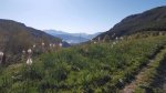 IMG_0895.JPG