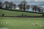 164834_20160429TDY8035.jpg
