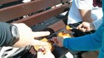 IMG_20160430_135842.jpg
