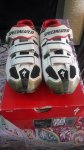 IMG_20160503_153346.jpg