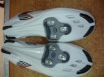 DSC05914.JPG