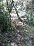 DSC_0144.jpg
