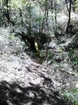 DSC_0147.jpg