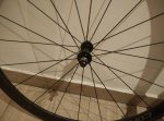 IMG_20160504_232609.jpg