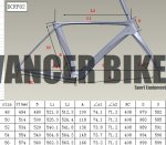 geometria de rosa.jpg