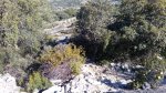 IMG_20160430_095725.jpg