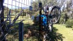 IMG_20160430_115401.jpg