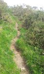 20160505_105948.jpg