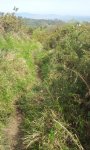 20160505_111513.jpg