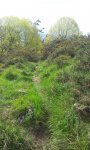 20160505_111520.jpg