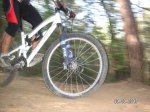 ferran 024.jpg