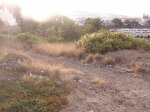 P1010002.JPG