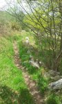 20160505_120449.jpg