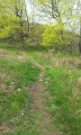 20160505_121707.jpg