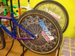 DSC09230.JPG