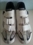 Shimano Arriba.jpg
