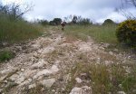 IMG_20160507_113155.jpg