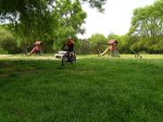 IMG_20160507_115951.jpg
