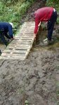 423834212_53677.jpg