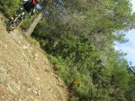 IMG_2294.JPG