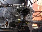 DSC01367 - Copy.JPG