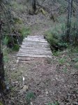 DSC_0155.jpg