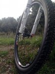 IMG_20160510_095510.jpg