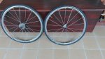 IMG_20160511_144327.jpg