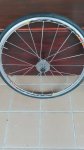 IMG_20160511_144343.jpg