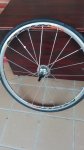 IMG_20160511_144411.jpg