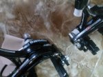 IMG_20160417_144026.jpg