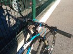 IMG_20160223_170304.jpg