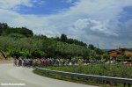 giro16st6-peloton-1000.jpg