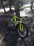 IMG_20160515_101933.jpg