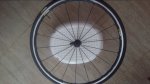 20160511_103500.jpg