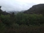 IMG_2847.JPG