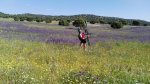 IMG_20160516_103434.jpg