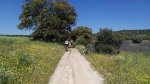 IMG_20160516_103403.jpg