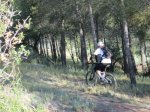 IMG_2419.JPG