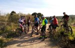 2016-5-16 Pardillo.jpg