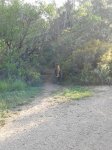 IMG_20160516_084650.jpg