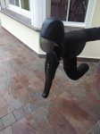 IMG_11052016_202104.jpg