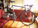 bici look I.JPG
