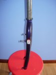 DSCN5782bis.jpg