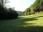 DSC04227.JPG