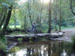DSC04259.JPG