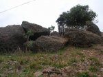 DSCN6976.JPG